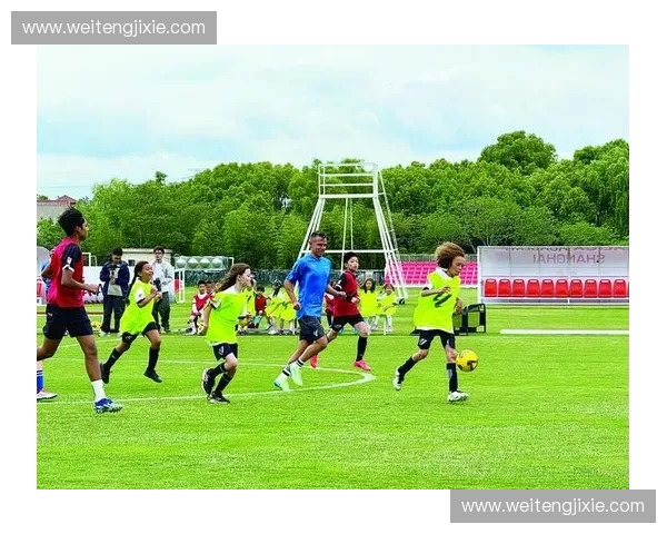 愿绿茵场上拼搏奋进足球赛场大展宏图勇往直前赢得胜利带回荣耀