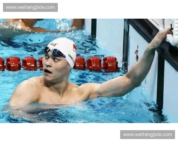 2017年孙杨游泳比赛赛程安排与赛事回顾