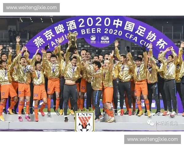 北足球联赛：深度解析中国足球职业化改革与未来发展路径